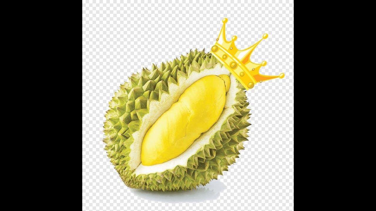 The Allure Of Durian Exploring The King Of One News Page VIDEO