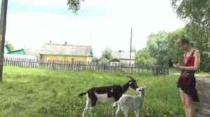 Milana - On The River - One News Page VIDEO