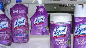 Home Essentials for a Spring Refresh