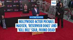 Hollywood actor Michael Madsen, 'Reservoir Dogs' and 'Kill Bill' star, found dead at home [Video]