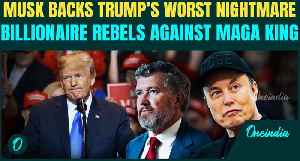 Elon Musk Sets GOP On Fire: Backs ‘Loser’ Massie To Humiliate Trump In Revenge Power Play