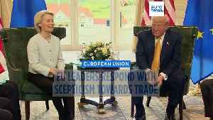 EU-US trade deal will come with economic consequences, German industries warn [Video]