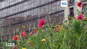 EU fails to agree Israeli suspension from research fund over Gaza [Video]