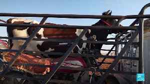 FRANCE 24 report in Sweida: Tens of thousands displaced since clashes began [Video]