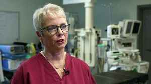 Govt: Any resolution to Ukraine war is welcome