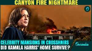 Harris’ Home Burnt to Ashes in Last LA Wildfires?|Canyon Fire Creeps Too Close to Celebrity Mansions [Video]