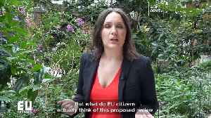 Can the EU be a climate leader and boost its economic competitiveness? [Video]