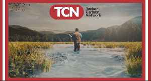 Tucker Carlson News 24/7