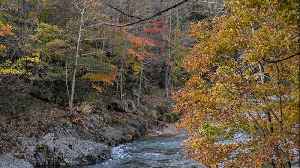 American Road Journal: Live Drive Through Virginia