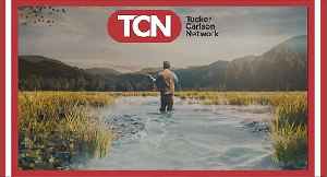 Tucker Carlson News 24/7