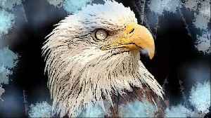 🎶 🎸 🎤 Saturday Jukebox - 12pm (noon) EST - 8:30pm EST 11/1/25 - 100% Free Speech Chat ..