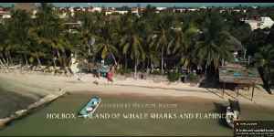 “✨ MAYOREO DE PERFUMES ÁRABES ✨ Envíos a más de 100 países