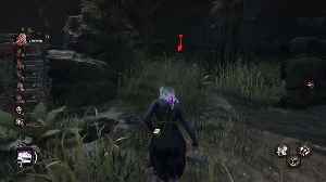 Friday Night DBD with Friends