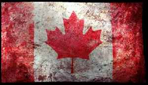 ITS RABBIT HOLE TIME !!! I GOT GOODS ONES TODAY.