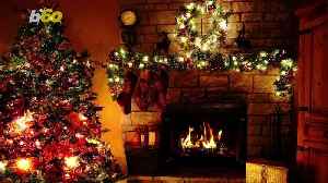 Unlock the Magic of Fresh Christmas Trees With These Pro Tips