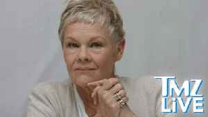 Judi Dench Thinks It's Time To Forgive Harvey Weinstein | TMZ Live