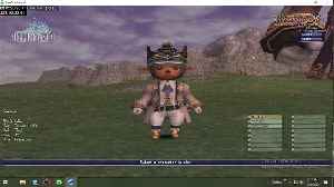 Playing Final Fantasy XI Online