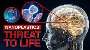 Nanoplastics. Threat to Life