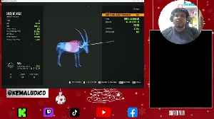 THE HUNTER CALL OF THE WILD