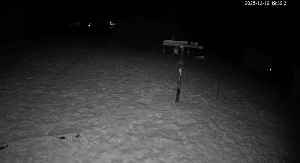 Bird Feeder in Western Maryland USA