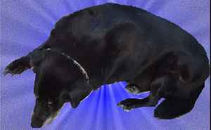 PostAfterThoughts LIVE 2025-12-12