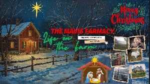 🎄 Holler Radio Christmas | IRL Life on the Farm | Music + Appalachia