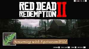 Equisetum Returns to Red Dead Part 9 - Clemens Point