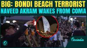 Australia Bondi Beach Shooting: Sydney Opera House Lits Up GIANT Menorah to HONOUR ATTACK Victims