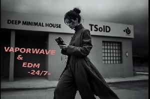 24/7 EDM and VAPORWAVE mixtapes stream by TSolD - MT|DO# MT|SO#