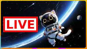 F.T.L 😺 Space Travel For New Years!