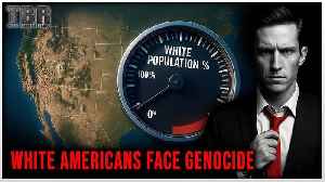 REPLAY : THE BASED REPORT: White Americans Face GENOCIDE