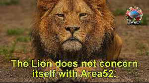 HNY 2026! Warthunder, Green Hell, Rocket League SoloQ / Co-op | Games Live Stream #GamingOnRumble