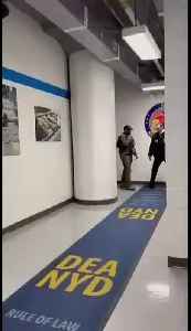 ZDT THEATER: MORONS, MUSIC AND MAYHEM