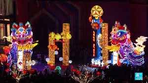 East Asia celebrates Year of the Horse with parades and festivities