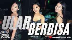 LIVE FUNKOT ULAR BERBISA