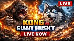 LIVE: Kong vs Giant Husky – The Ultimate AI Animal Battle