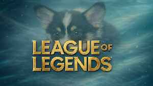 League Time! Working with Swain, Karma, and IDK who else. Come say hello to my Corgi!
