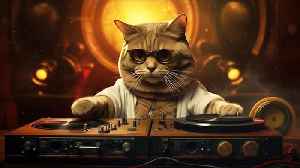 #HappyThursday 19th February 2026 🫡 #house #music #FreedomOfExpression