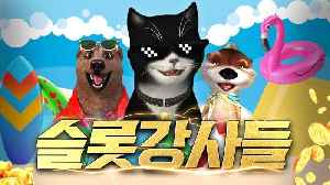 [슬롯 생방송] 물개 드가자