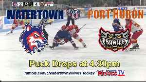 Wolves v Prowlers at 4:30