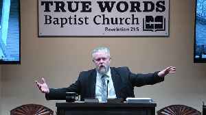 He Purposed In His Heart: Daniel 1:8-21 Explained