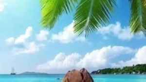 ورد الظهيرة