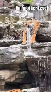 Can Someone Explain To Me What S Happening Here!!.