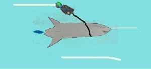 Sunday Variety Stream