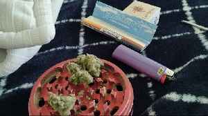 The World Governments have installed "Deadness" in all the Territories; How we are no longer alive.