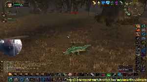 turtle wow hardcore yeloart warrior run#1500 LETS GOO