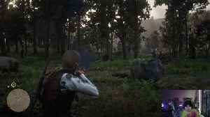 We Owl Here Morning Show