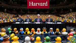 day in the life: 2026-W14-1