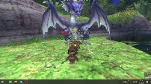 Playing Final Fantasy XI Online