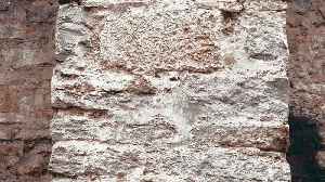 ASMR → Gaming → Music | 3-in-1 Livestream (Triggers, Gameplay, Beatmaking)